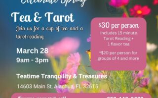 Local Tarot Reading Event in Alachua Florida